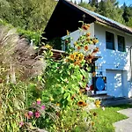 Haus St Peter , Midden In Meren Gebied Karinthie * ראדנטיין