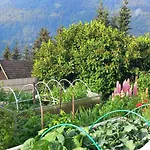 Haus St Peter , Midden In Meren Gebied Karinthie *