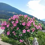 Haus St Peter , Midden In Meren Gebied Karinthie *