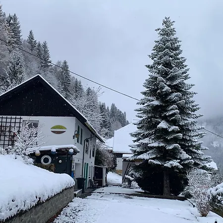 Haus St Peter , Midden In Meren Gebied Karinthie Radenthein