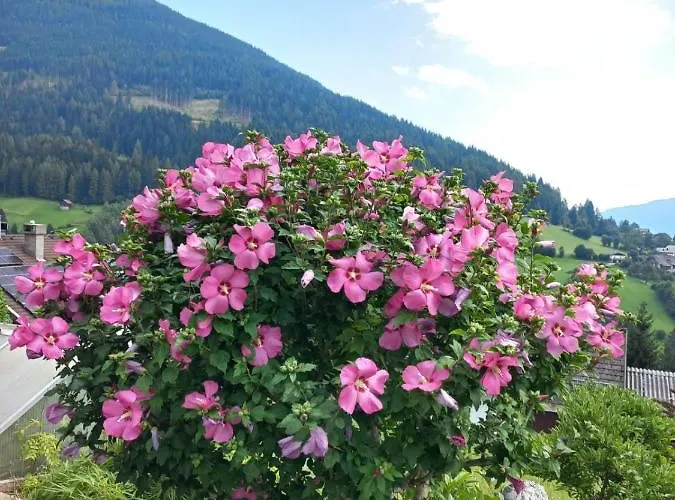 Haus St Peter , Op 5 Auto Minuten Geweldig Skigebied *